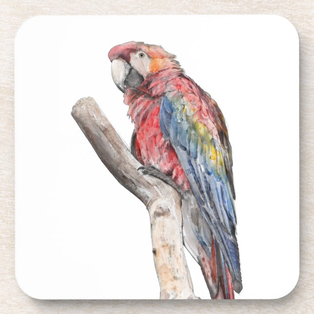 Colourful Macaw Parrot Watercolor Coaster (Front)