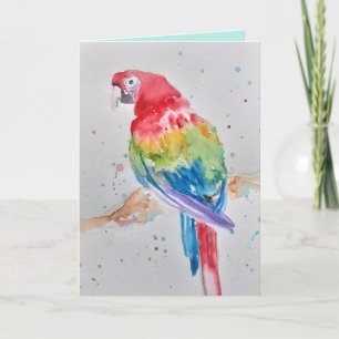 Colourful Macaw Parrot Watercolor Greetings Card