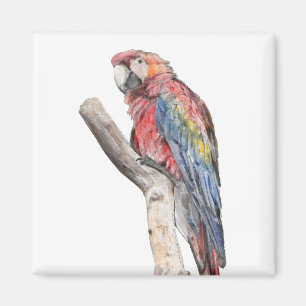 Colourful Macaw Parrot Watercolor Magnet