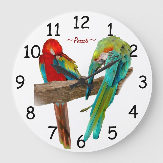 Colourful Macaw Parrots Wall Clock (Front)