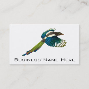 Colourful Magpie Bird, Vintage Illustration Business Card