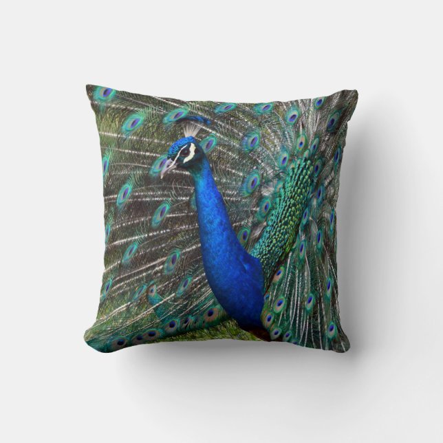 Colourful male peacock cushion (Front)