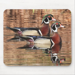 Colourful Male Wood Ducks Mouse Pad