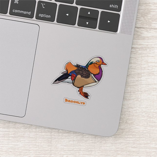 Colourful mandarin duck illustration (Detail)