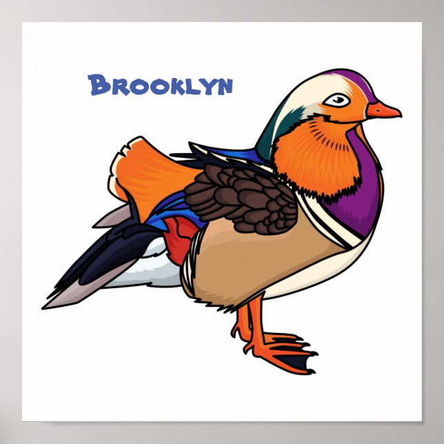 Colourful mandarin duck illustration poster (Front)