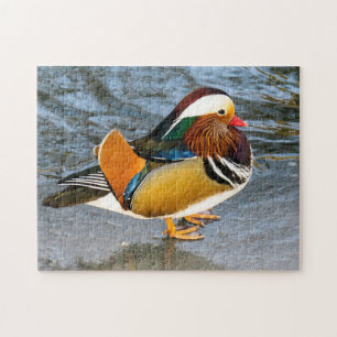 Colourful Mandarin Duck Photo Puzzle