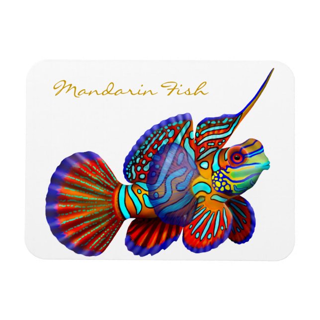 Colourful Mandarin Goby Reef Fish Premium Flexi Ma Magnet (Horizontal)