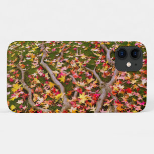 Colourful Maple Leaf iPhone 11 Case