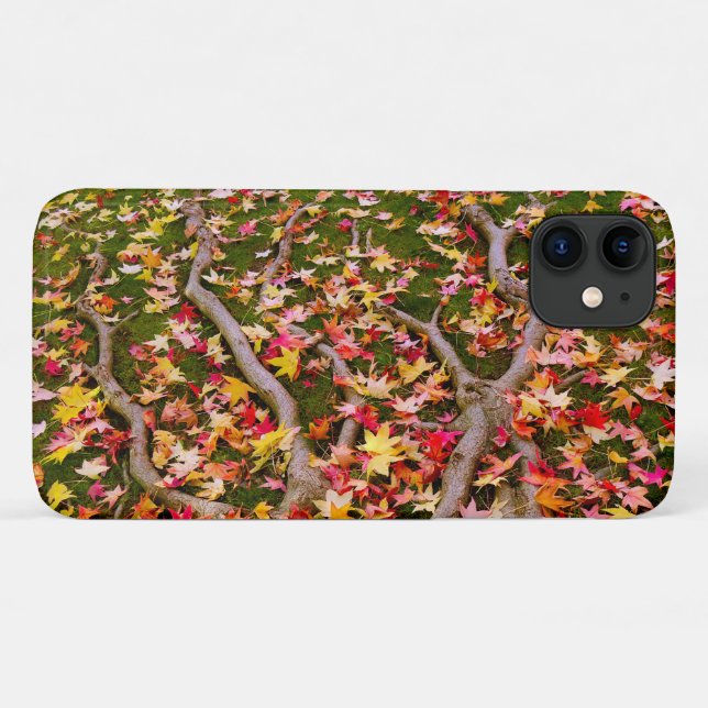 Colourful Maple Leaf Case-Mate iPhone Case (Back (Horizontal))