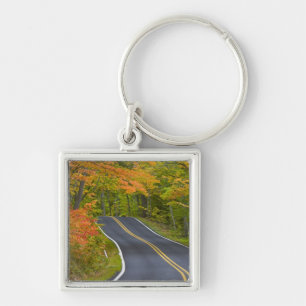 Colourful maple trees in autumn line scenic key ring