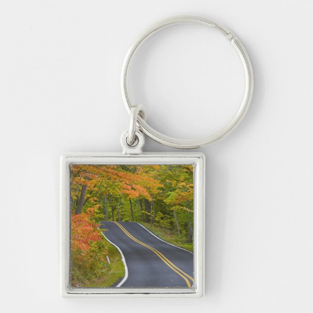 Colourful maple trees in autumn line scenic key ring (Front)