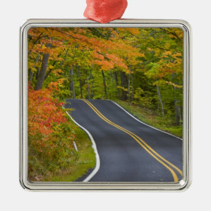 Colourful maple trees in autumn line scenic metal tree decoration