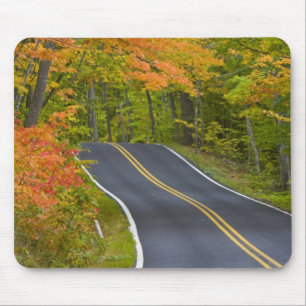 Colourful maple trees in autumn line scenic mouse pad