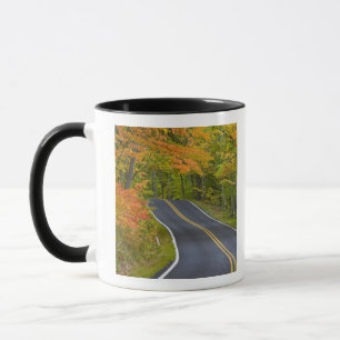 Colourful maple trees in autumn line scenic mug