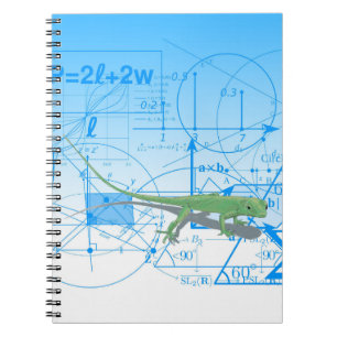 Colourful Math Equations Geometric Designs Lizard Notebook