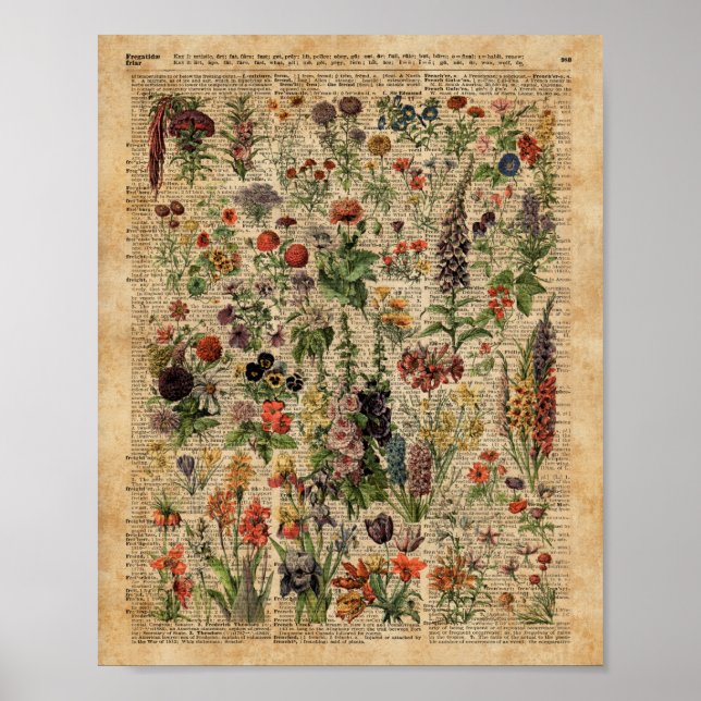 Colourful Meadow Flowers Herbs Dictionary Art Poster (Front)