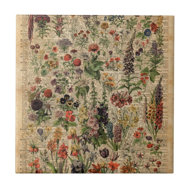 Colourful Meadow Flowers Herbs Dictionary Art Tile (Front)