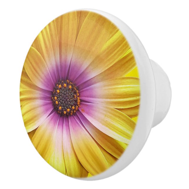 Colourful Medley of African Daisies Flowers Ceramic Knob (Right)