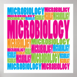 Colourful Microbiology Poster
