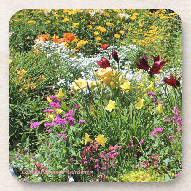 Colourful Mid Summer Gardens! Coaster (Front)