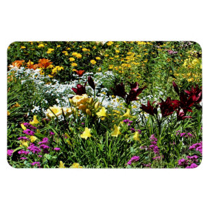 Colourful Mid Summer Gardens! Magnet