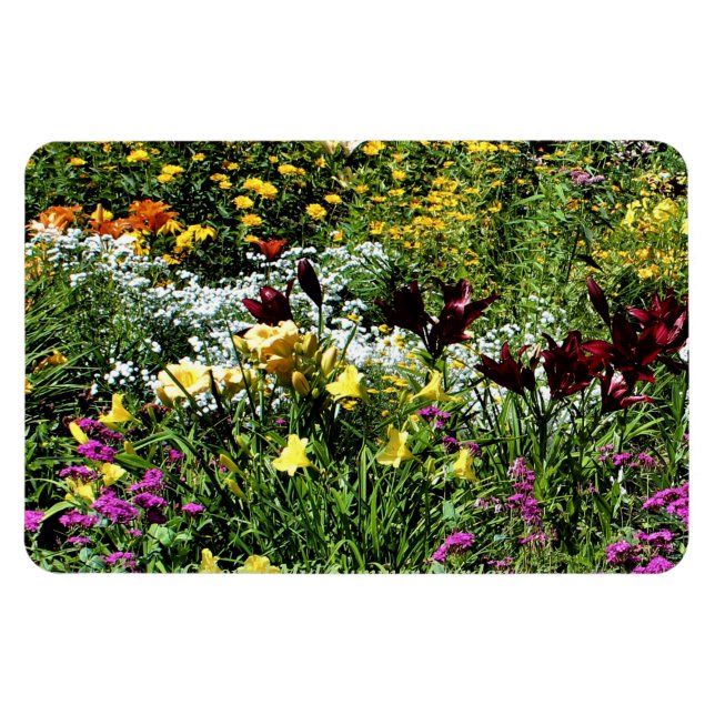 Colourful Mid Summer Gardens! Magnet (Horizontal)