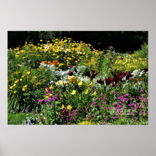 Colourful Mid Summer Gardens! Poster