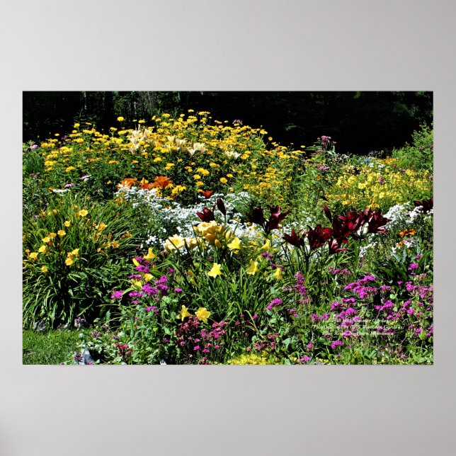 Colourful Mid Summer Gardens! Poster (Front)