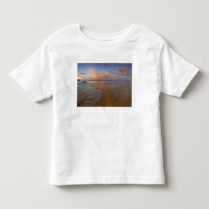 Colourful mineral deposits emit from Black Pool 2 Toddler T-Shirt