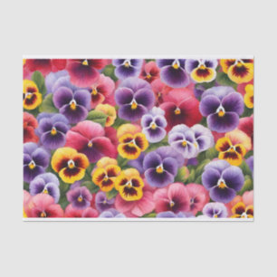 Colourful Mixed Garden Pansy Flowers Tissue Paper