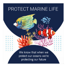 Colourful Modern Protect Marine Life Quote Poster