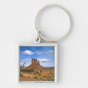Colourful Monument Valley Mittens in Utah USA Key Ring