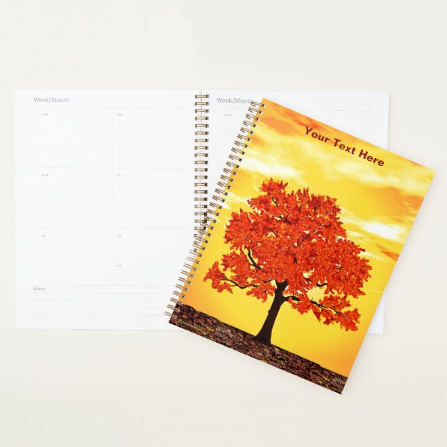 Colourful Morning Oak Planner (Display)