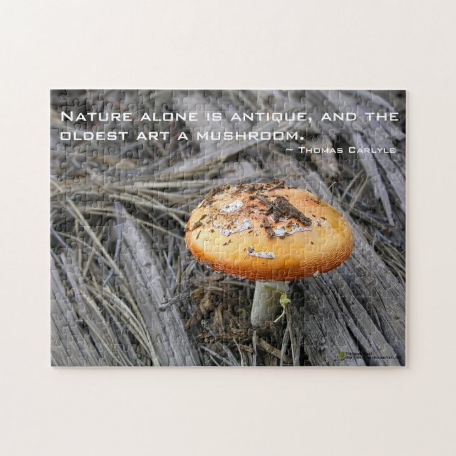 Colourful Mushroom Busting Through Jigsaw Puzzle (Horizontal)