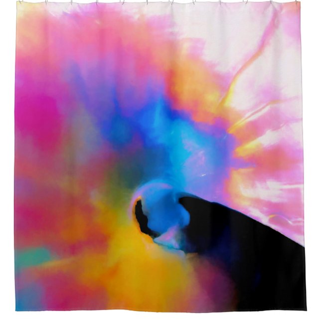 Colourful Nautilus Shower Curtain (Front)