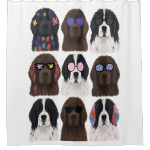 Colourful Newfoundlands (Black, Brown, Landseer) Shower Curtain