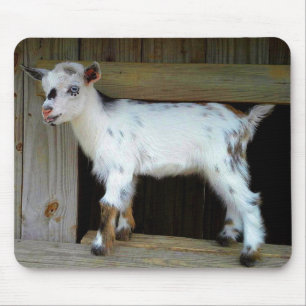 Colourful Nigerian Dwarf Dairy Goat Kid Mouse Pad