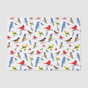Colourful North American Birds Pattern Napkins Tissue Paper