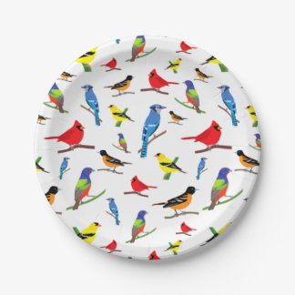 Colourful North American Birds Pattern Samsung Gal Paper Plate
