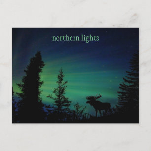 Colourful Northern Lights Sky Postcard