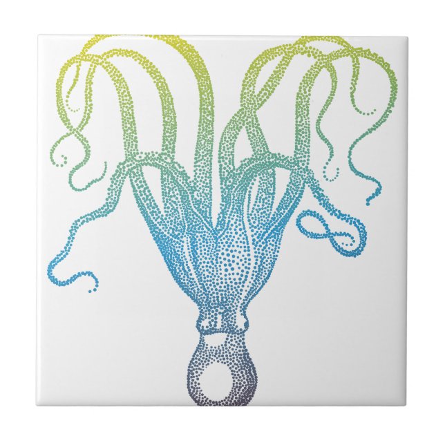 colourful octopus silhouette ceramic tile (Front)