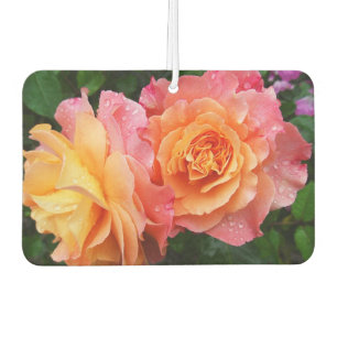 Colourful ombre roses photo car air freshener