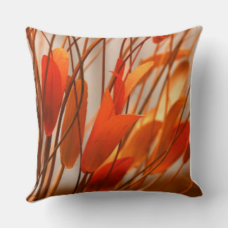 Colourful Orange  Cushion