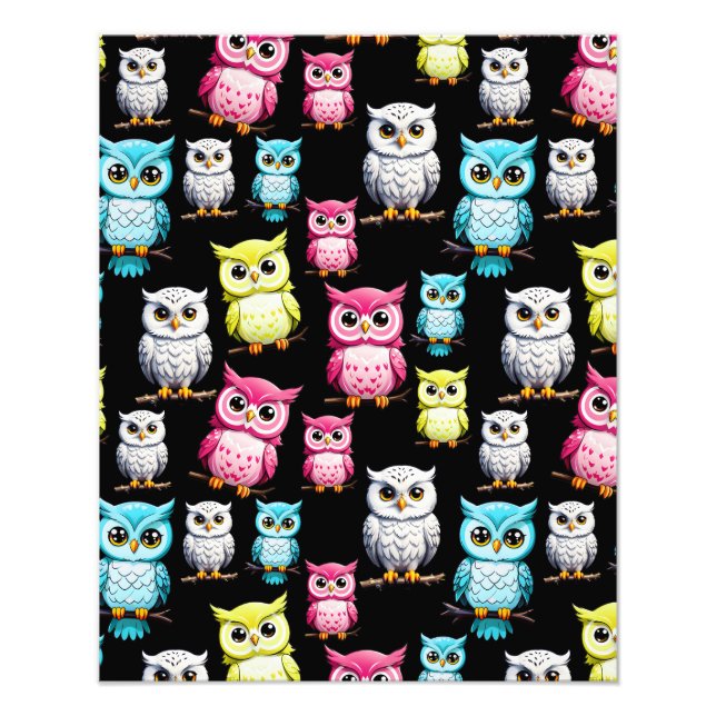 Colourful Owl Birds Black Background Pattern  Photo Print (Front)