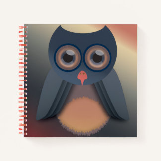 Colourful Owl Notebook