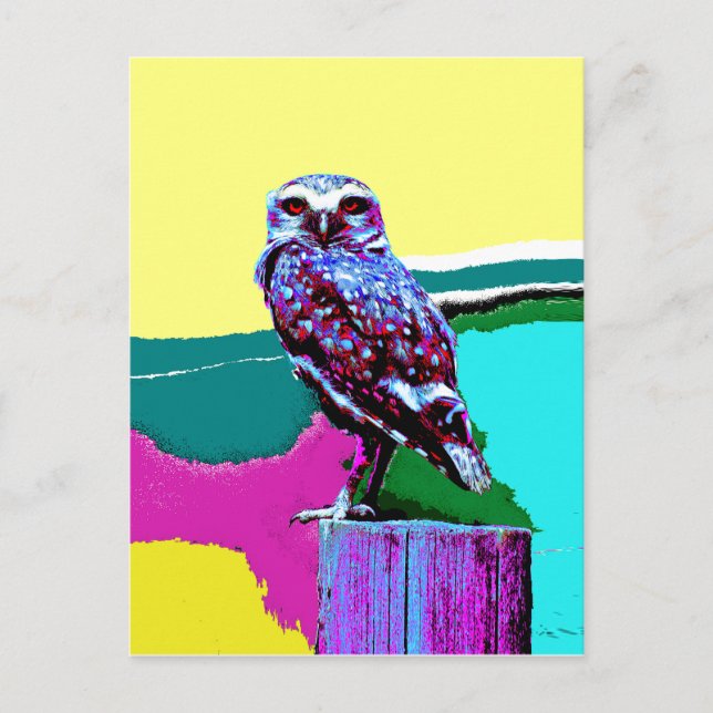 Colourful Owl on a post Posterisation Postcard (Front)