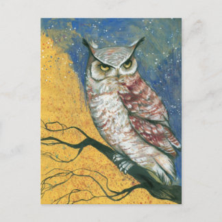 colourful owl postcard