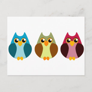 Colourful Owl Trio Postcard