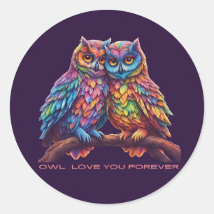 Colourful Owls-Love Birds-Valentine's Day  Classic Round Sticker