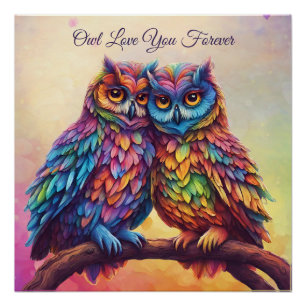 Colourful Owls-Love Birds-Valentine's Day Poster
